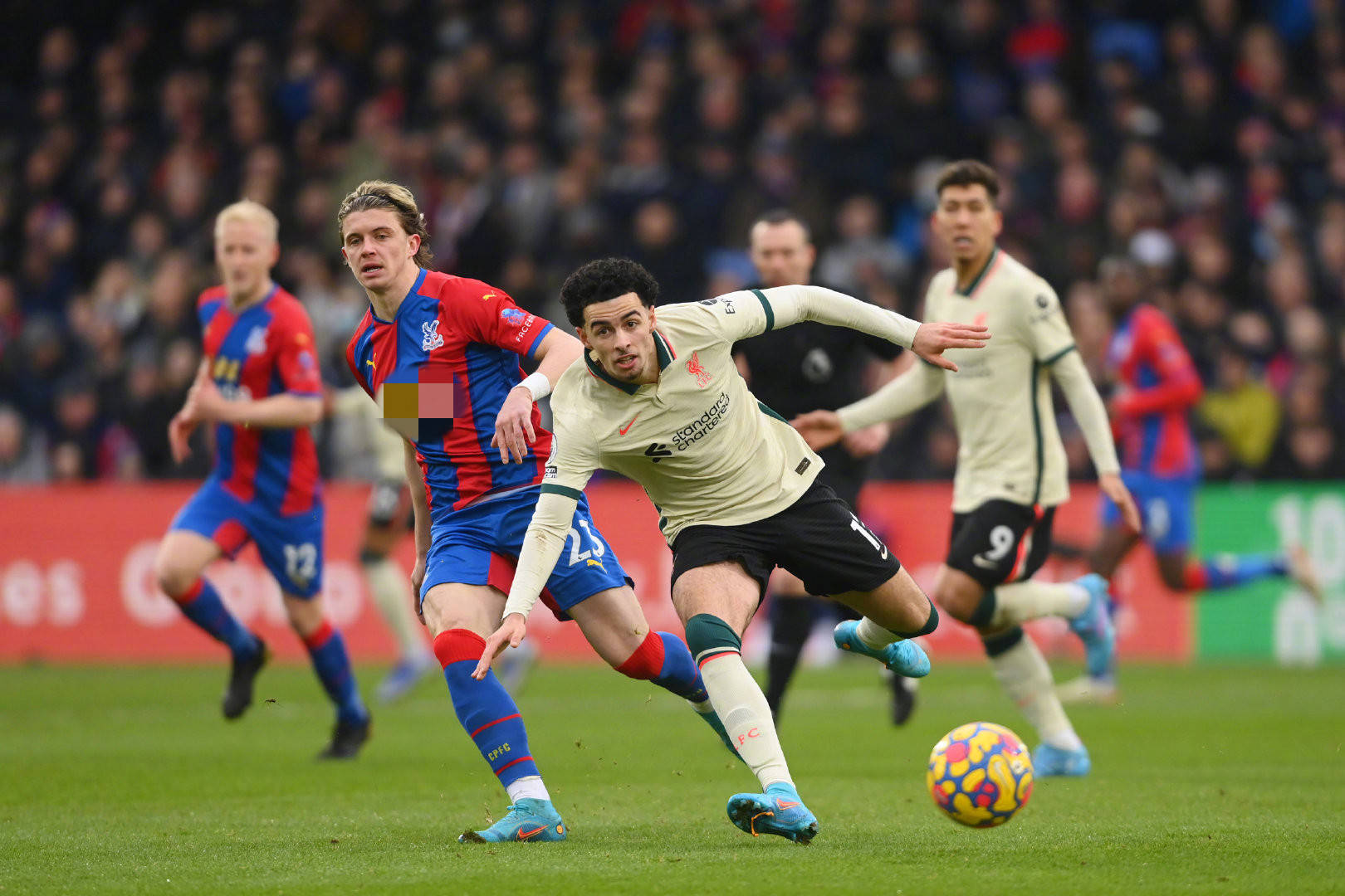 不仅在于个 不仅在于个